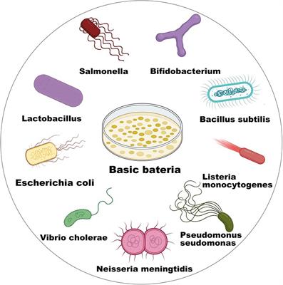 Genetically engineered bacterium: Principles, practices, and prospects